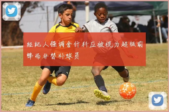 经纪人强调舍什科应被视为超级前锋而非替补球员